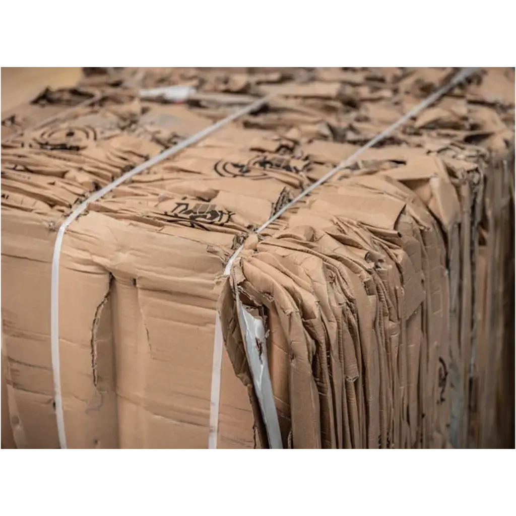 Carboard Bandings.webp